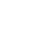 Website Icon Step 4 White